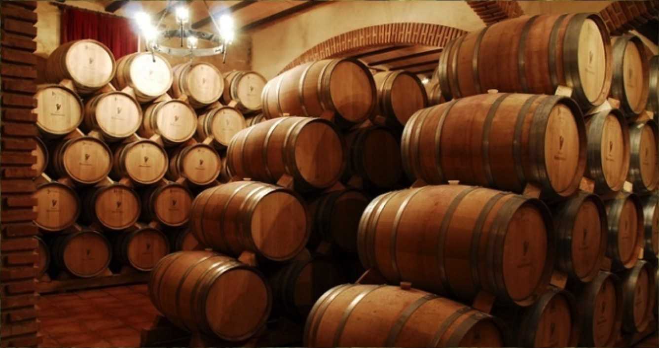Assegurança Cellers 1 Assegurança Cellers 1